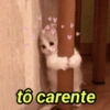 Gatinhos Fofinhos😻 9