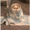 Kkk 9