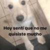 Memesitos tristes😭😔😂 7