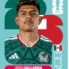 🧿 Laminas Seleccion México 🇲🇽 9
