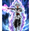 Black Goku 16