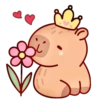 Capibara Valentin ❣️ 18