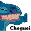 Stitch 15