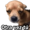 Memes Simples 2😏💙 15