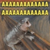 MOO DENG MEMES 🦛 8