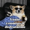 🧿 Para tu chat usalos😎😋 29