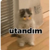utandım