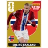 Legend Stickers Copa ⭐️✨️ 5
