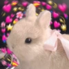 Cute stickers 15