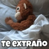 TE EXTRAÑO