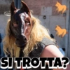 SI TROTTA?