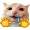 🧿 Gato para molestar 😋😂🐱 5