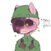 Solder 16