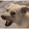 MEMES & Reações 26