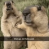 Shitpost 15