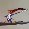 PICAPAU 13