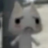 🐱 Hungry Toro Cat 🤍 8