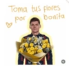 Stickers flores amarillas f1🌼🏎️ 9