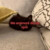 Solo Memes😌 15