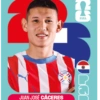 🧿 Laminas Seleccion Paraguay🇵🇾 10