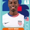 Cromos Seleção dos EUA 🇺🇸 6