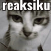 Meme kucing stres core 😾 8
