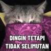 Kucing Anomali 5 11