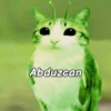 Meowl 🐱🦉 17