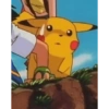 Pokemon stickers 9