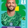 🧿 Laminas Seleccion Brazil🇧🇷 13