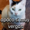 apoco si muy vergas