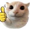 🧿 Gato para molestar 😋😂🐱 11