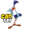 can sei