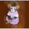 Princesita