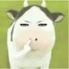 SAPI TIKTOK FILTER COW🐮 14