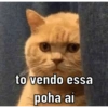 NOVOS MEMES 9