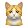 Emoji iPhone Yellow 8