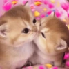 💞💖 प्यार 10 💖💞 9