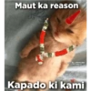 Funny quotes 🤠 5