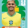 🧿 Laminas Seleccion Brazil🇧🇷 7