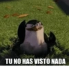 TU NO HAS VISTO NADA