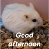 Good afternoon