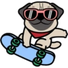 🐾Pug🐾 10