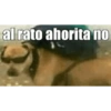 Bebé  11