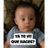 Obligame perro 9
