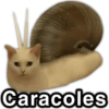 Paraguayita 9 01 Caracoles