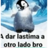 ShitPost 18