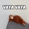 VAYA VAYA