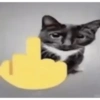 JAJA 6
