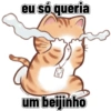 Gatos cantadas 11